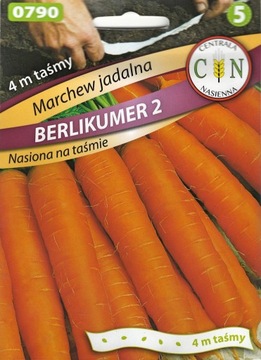 Marchew Berlikumer 2 nasiona na taśmie b.dobra