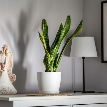 КРЫШКА НА ЦВЕТОЧНЫЙ ВАЗ 18см ЦВЕТОЧНЫЙ ГОРШОК НА ПОДСТАВКЕ, БЕЛЫЙ ДЛЯ ГОСТИНОЙ