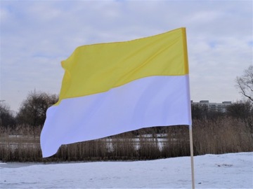 Флаг Папской церкви 90 x 150 на шесте - 37