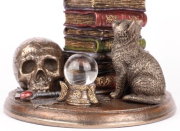 КОШКА ПО КНИГАМ ВЕРОНСКИЕ КОШКИ В ПОДАРОК