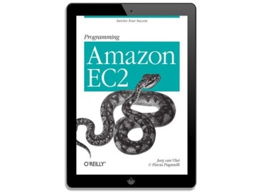 Программирование Amazon EC2. Пережить свой успех