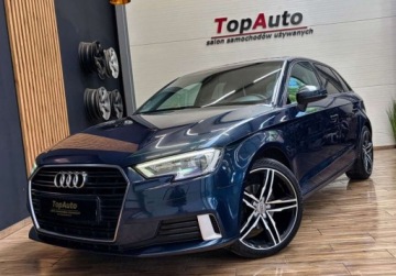 Audi A3 8V Cabriolet 2.0 TDI clean diesel 150KM 2016 Audi A3 Sportback 2.0TDI 150 KM manual BEZWYPADKOWA zarejetrowana gwaranc, zdjęcie 13