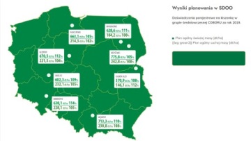 Семена кукурузы СМ Борина ФАО 250 на силос