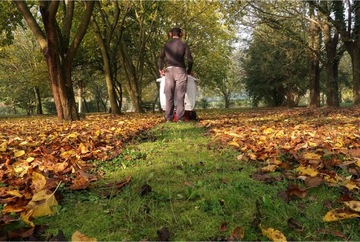 Самоходный пылесос WEIBANG WBLV506C для листьев