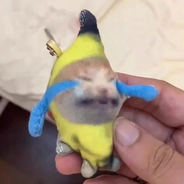Плюшевый кулон «Плачущий банановый кот» 2023, милый банан