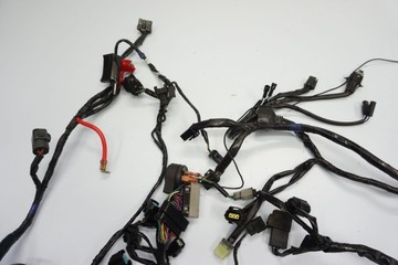 TRIUMPH DAYTONA 675 06-12 УСТАНОВКА ГЛАВНОГО ЖГУТА ПРОВОДОВ