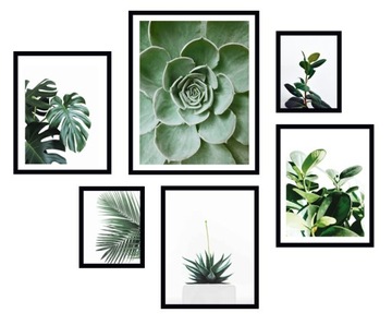 6x OBRAZ RAMIE PLAKATY RAMKA LIŚĆ MONSTERA NATURA