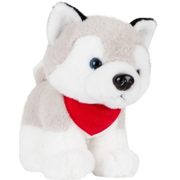 MASKOTKA PLUSZOWA PIES piesek HUSKY PRZYTULANKA