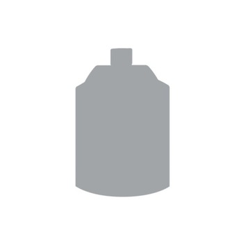 CITADEL SPRAY Grey Seer