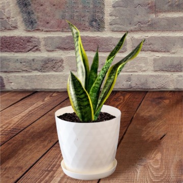 DONICZKA PLASTIKOWA Z PODSTAWKĄ DONICA OSŁONKA NA KWIATY 20cm KREMOWA KADAX