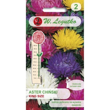 Nasiona astry Aster chiński King Size mieszanka - wysokość roślin do 100 cm
