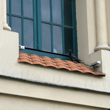 WYSOKIE SZEROKIE I GĘSTE MOCNE KOLCE NA PTAKI GOŁĘBIE | NIERDZEWNE 40x18cm