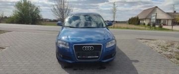 Audi A3 8P Hatchback 3d 1.9 TDI 105KM 2009 Audi A3 Sportback 1.9 TDI ,BEZWYPADEK,zadbany 1.9 Diesel 105KM, zdjęcie 8