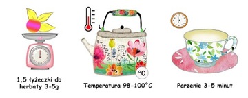 Чай 100% фруктовый РОЖДЕСТВЕНСКИЙ СНЕГОВИК 50г