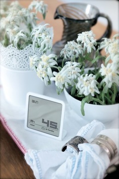 ГИГРОМЕТР SELINA КОМНАТНЫЙ ТЕРМОМЕТР STADLER FORM ЧИЛИ КРАСНЫЙ КРАСНЫЙ ЧАСЫ