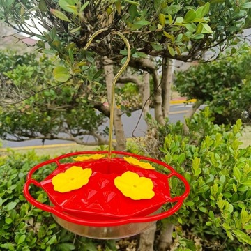 Кормушки для колибри, которые можно повесить на улице