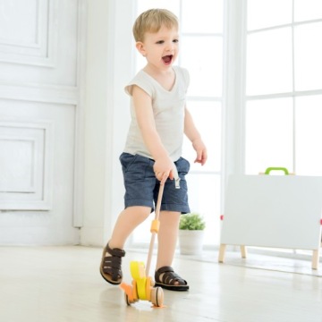 CLASSIC WORLD DUCK PUSHER НА ПАЛКЕ