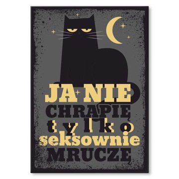 Blacha metalowa z napisem pomysł na prezent poster Kot Chrapanie mruczenie