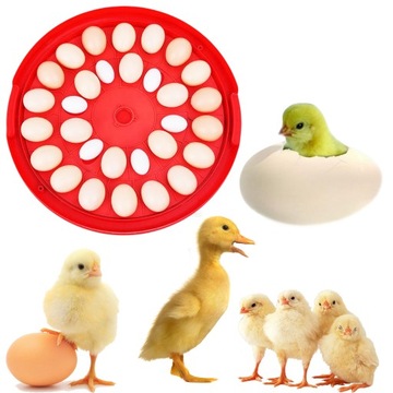 Автоматический инкубатор для выведения яиц SMART EGG S30