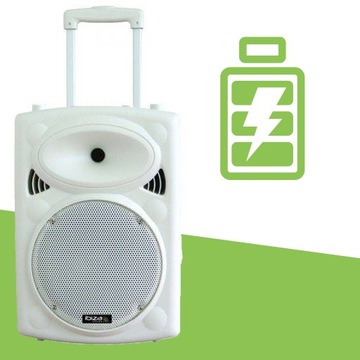 Nagłośnienie mobilne PORT 800W 2 MIC bateria etui