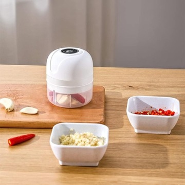 ОВОЩЕРЕЗКА ЭЛЕКТРИЧЕСКИЙ ИЗМЕЛЬЧИТЕЛЬ ЧЕСНОЧНЫЙ ПРЕСС