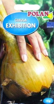 Cebula Exhibition późna duże cebule 1-2 kg nasiona 1g