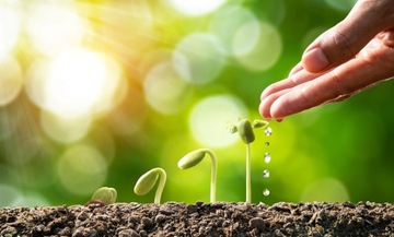 Универсальная цветочная почва с удобрением Биовита 50л