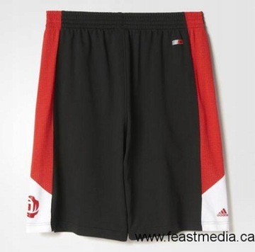 Шорты Adidas NBA Derrick Rose AX7843
