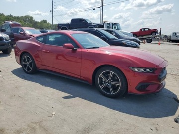 Ford Mustang VI 2024 Ford Mustang 2024r., 2.3L 2.3 Benzyna 315KM, zdjęcie 1