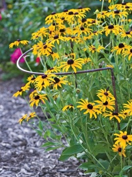 ОПОРА ПЕРГОЛА ДЛЯ ЦВЕТОЧНЫХ РАСТЕНИЙ 115 СМ