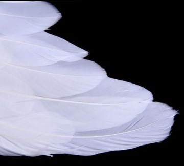 КОСТЮМ АНГЕЛА ANGEL NATIVE HALO БОЛЬШОЙ КОМПЛЕКТ 5в1 ЮБКА С КРЫЛЬЯМИ