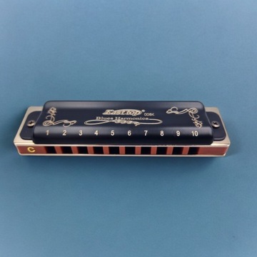 Диатоническая блюзовая гармоника 10-канальная до мажор East Top T008K черная