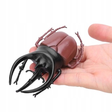 6 sztuk Symulacja Beetle Owad Model Halloween