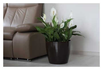 Doniczka Magnolia fi 180mm h 159mm biała Lamela