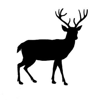 СВЕТООХОТНИЧЬИ НАКЛЕЙКИ ДЛЯ АВТОМОБИЛЯ ОЛЕНЬ