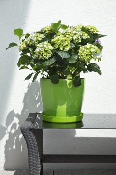 Горшок горшок магнолия корпус гладкие дайверы. 25 см белый