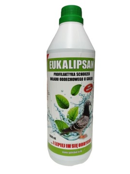 PATRON EUKALIPSAN NA DROGI ODDECHOWE DLA GOŁĘBI