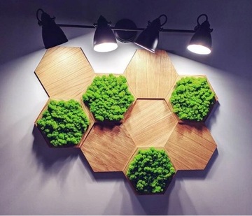 ВЕСЕННЕЕ УКРАШЕНИЕ СТАБИЛИЗИРОВАННЫМИ РАСТЕНИЯМИ И МХОМ