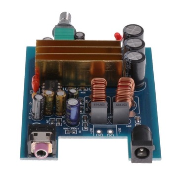 TPA3116 DC V 100 W Cyfrowy wzmacniacz mocy subwoofera basowego
