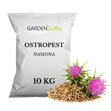 Ostropest plamisty ziarno polskie 10 kg czysty świeży nasiona