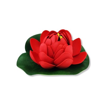 Lilia wodna pływająca 11cm alabaster czerwona