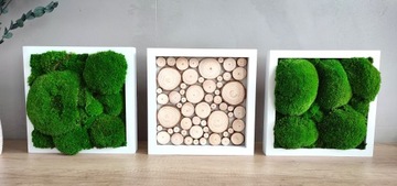 Триптих из мха и кусочков дерева, 27х27 см.