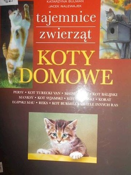 Koty domowe - Katarzyna Bulman