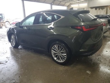 Lexus NX II 2025 Lexus NX 350h Base 2025 2.5l 2.5 Hybryda 240KM, zdjęcie 1