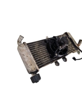 Aprilia RS4 125 COOLER
