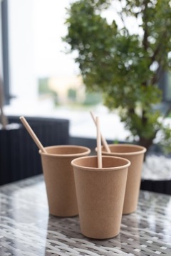 Элегантная одноразовая посуда на 16 человек.