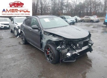 Alfa Romeo Stelvio 2022 Alfa Romeo Stelvio Quadrifoglio 2022 2.9l 2.9 Benzyna 505KM