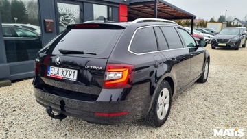 Skoda Octavia III Kombi Facelifting 2.0 TDI 150KM 2019 Skoda Octavia 2.0TDI 150KM Navi bi xenony asystent el klapa 100 bezwypadek, zdjęcie 26