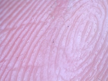 Цифровой микроскоп Delta Optical Smart 5MP PRO