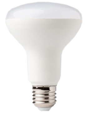 Żarówka LED Eco-Light E27 12W